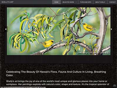 Portfolio site for artist Shelly Maudsley White